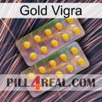 Gold Vigra new10